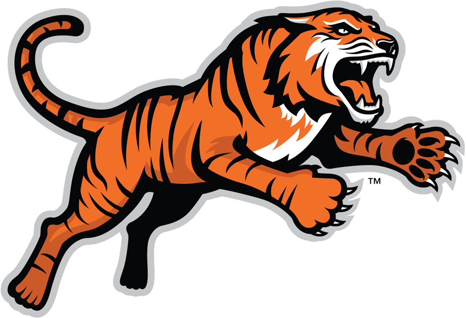 RIT Tigers 2004-Pres Alternate Logo 04 iron on paper